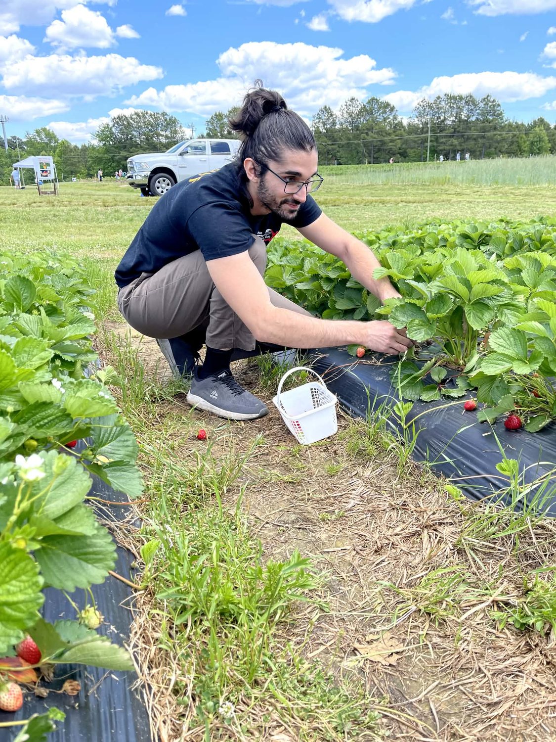 Ozan Duran picking strawberries at a farm